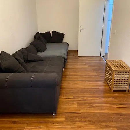2-raumwohnung Im Schonen Appartement Zwickau